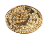 AJPW GOLD PIN