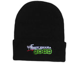 WM2000 EMBROIDERED BEANIE