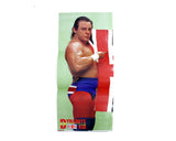 WEEKLY GONG MAGAZINE #474 *with Dynamite Kid fold-out poster*