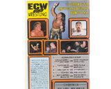 ECW HARDCORE #10 JAPANESE VHS TAPE