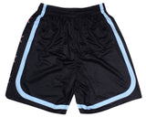 XXX SHORTS - CHICAGO COLORS [9 INCH INSEAM]
